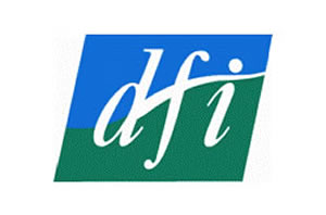 Disability Federation of Ireland